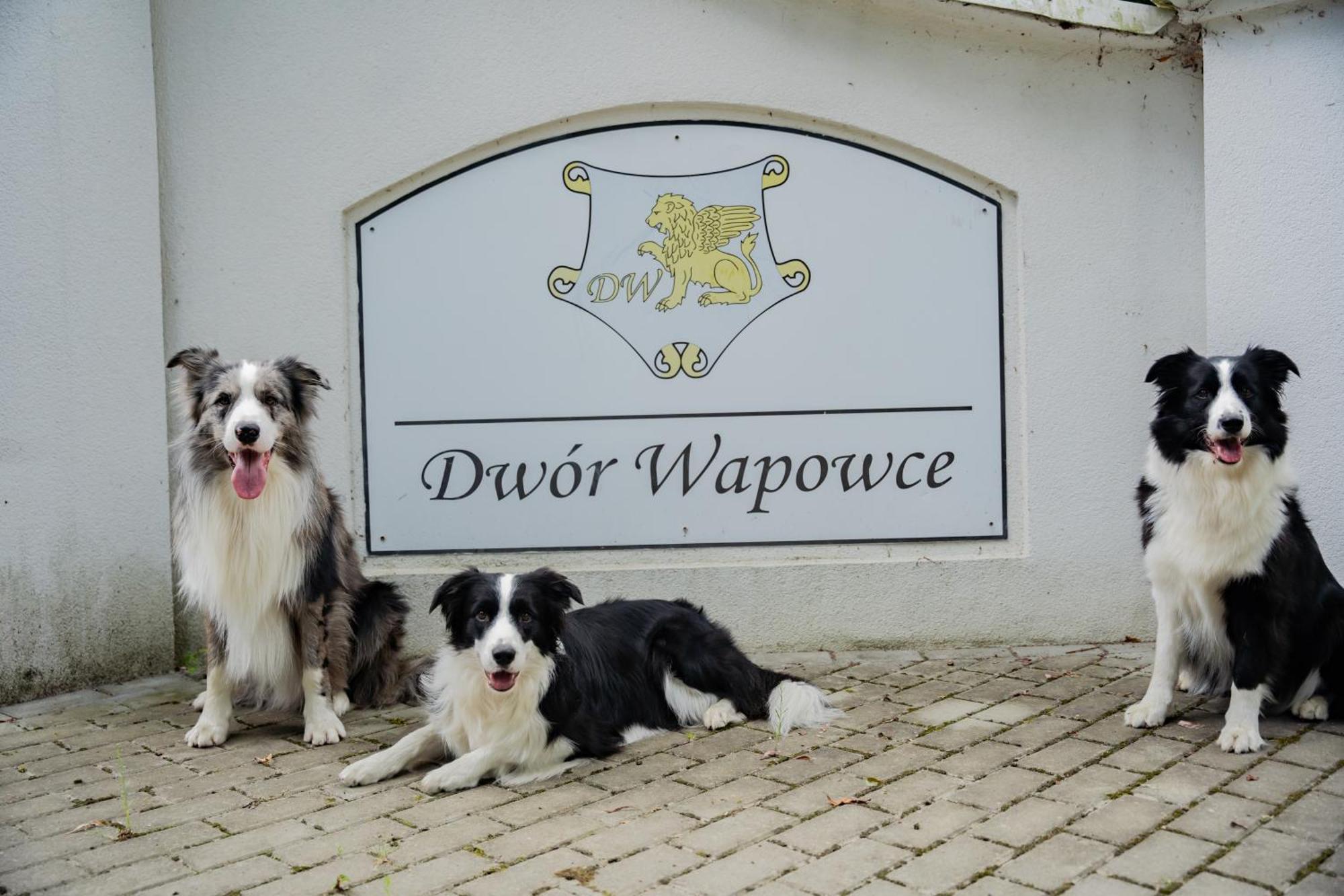 Hotel Dwor Wapowce Exterior foto